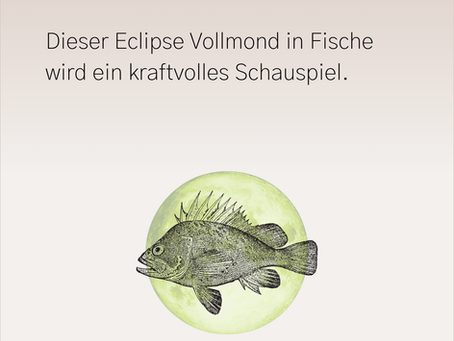 Fisch unter dem Vollmond