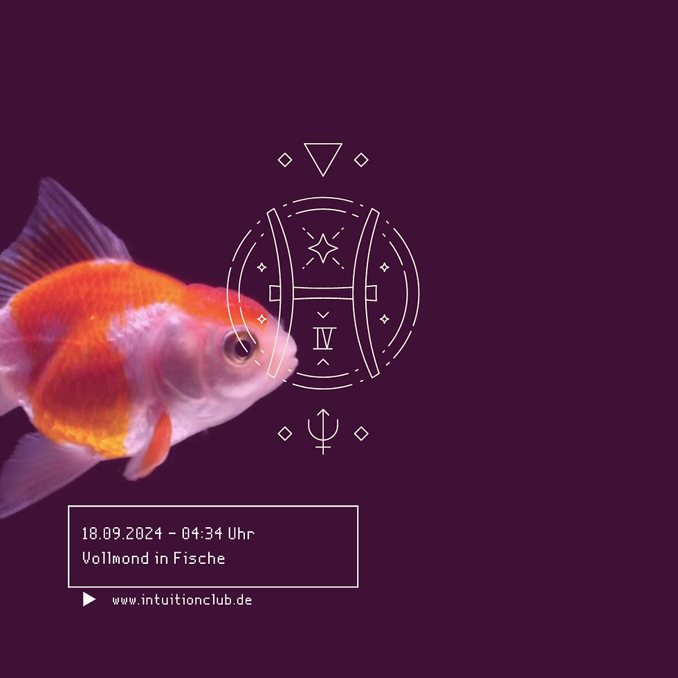 Fisch im Wasser angestrahlt vom Vollmond