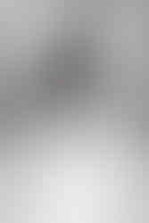 New Orleans timeless engagement session at Longue Vue House and Garden taken by Sierra Beaulieu New Orleans Wedding Photographer