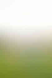 couple slow dancing in an open field during their Baton Rouge engagement session taken by New Orleans wedding and portrait photographer Sierra Beaulieu