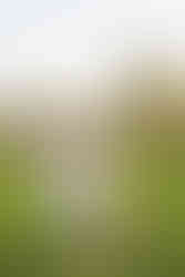 a couple looking at each other while walking during Baton Rouge engagement session 