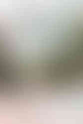 New Orleans engagement photos at Longue Vue House taken by NOLA Wedding Photographer Sierra Beaulieu