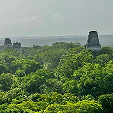pyramides de tikal au guatemala