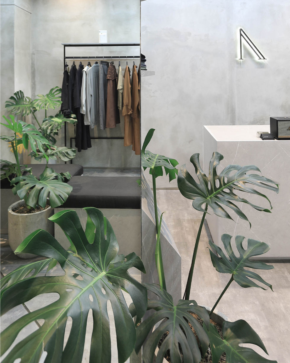 Rashawl Store PVJ