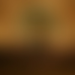 Discovery Resources- Genealogy & Ancestry