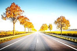 09 October 2022 – Making things new!