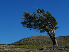 09 August 2025 – Winds are changing!