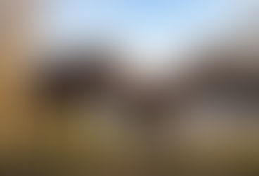 31 October 2021 – Palm Sunday – Donkey and a colt