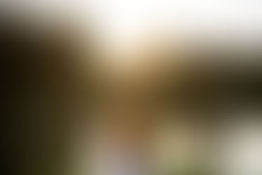 25 July 2021 – There will be an Awakening!