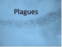 20 January 2022 – Plagues