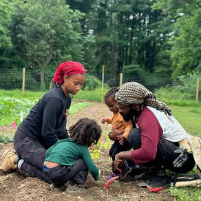 4 Black-Owned Community Gardens to Reconnect with The Natural World