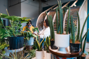 Top 10 Sound Healing Businesses & Getaways