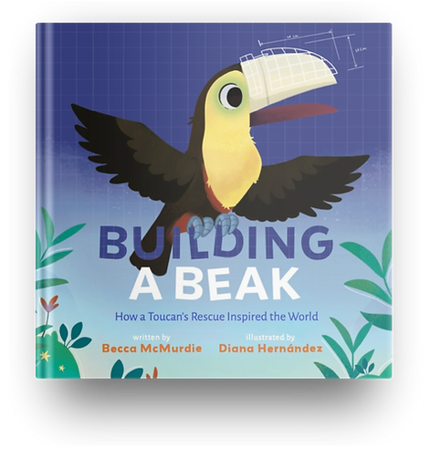 Building a Beak Cover
