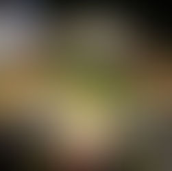 St. Vincent Ferrer parish at Sagñay holds living rosary for clean election