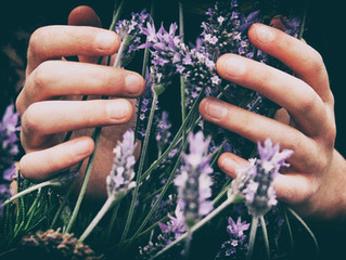 A Broken Jesus for a Broken World