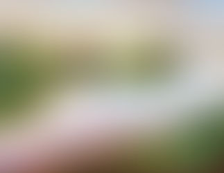 Inspiration From Art