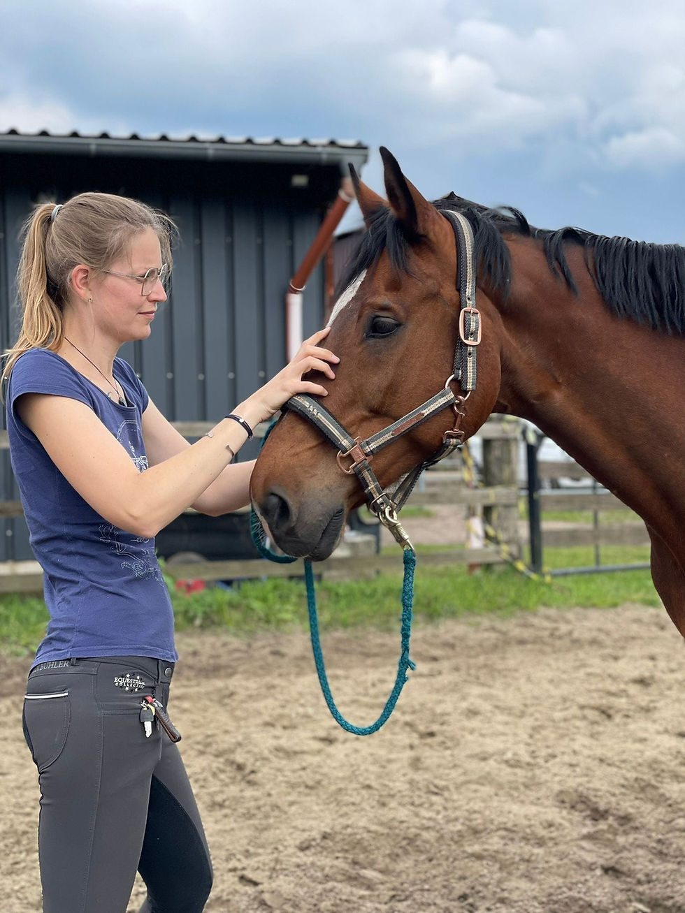 Tierheilpraktik Laura Stern im Ruhrgebiet