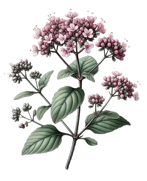 Tierheilpraktik Stern im Ruhrgebiet