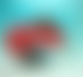 APRENDENDO A NAMORAR #2 O QUE QUER UMA MULHER? TEXTO PARA OS HOMENS!