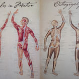 Advanced Myofascial Therapy, Cañon City, CO.