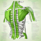 Neuromuscular Therapy, Cañon City, CO.