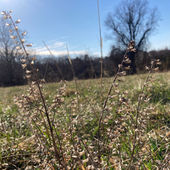 义人增多，民就喜乐- 20230312