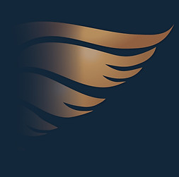 background 1_edited_edited.jpg