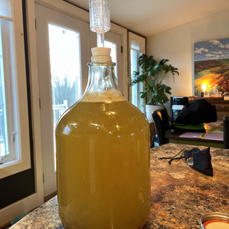 Mead Making Day 1