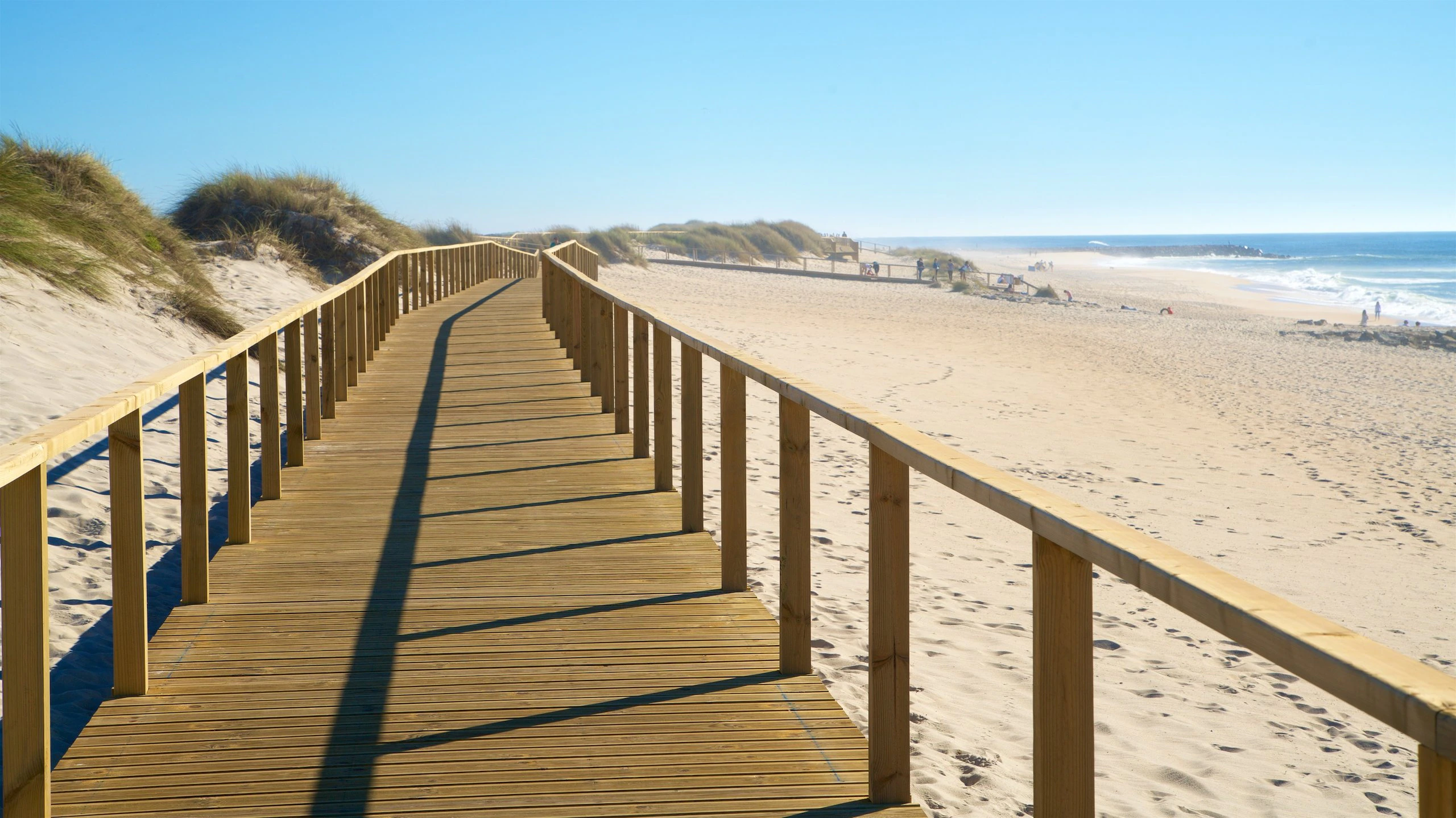 233145-Costa-Nova-Beach.webp