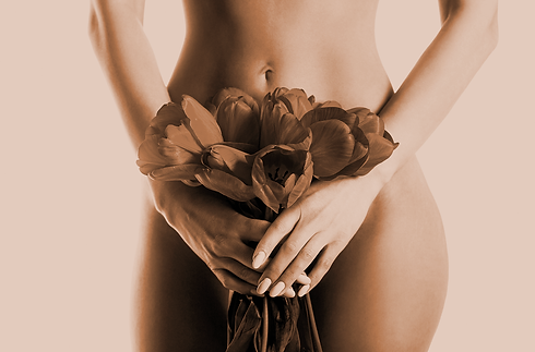 imagens_novos_procedimentos_metamorfosepreenchimento-vulvovaginal.png