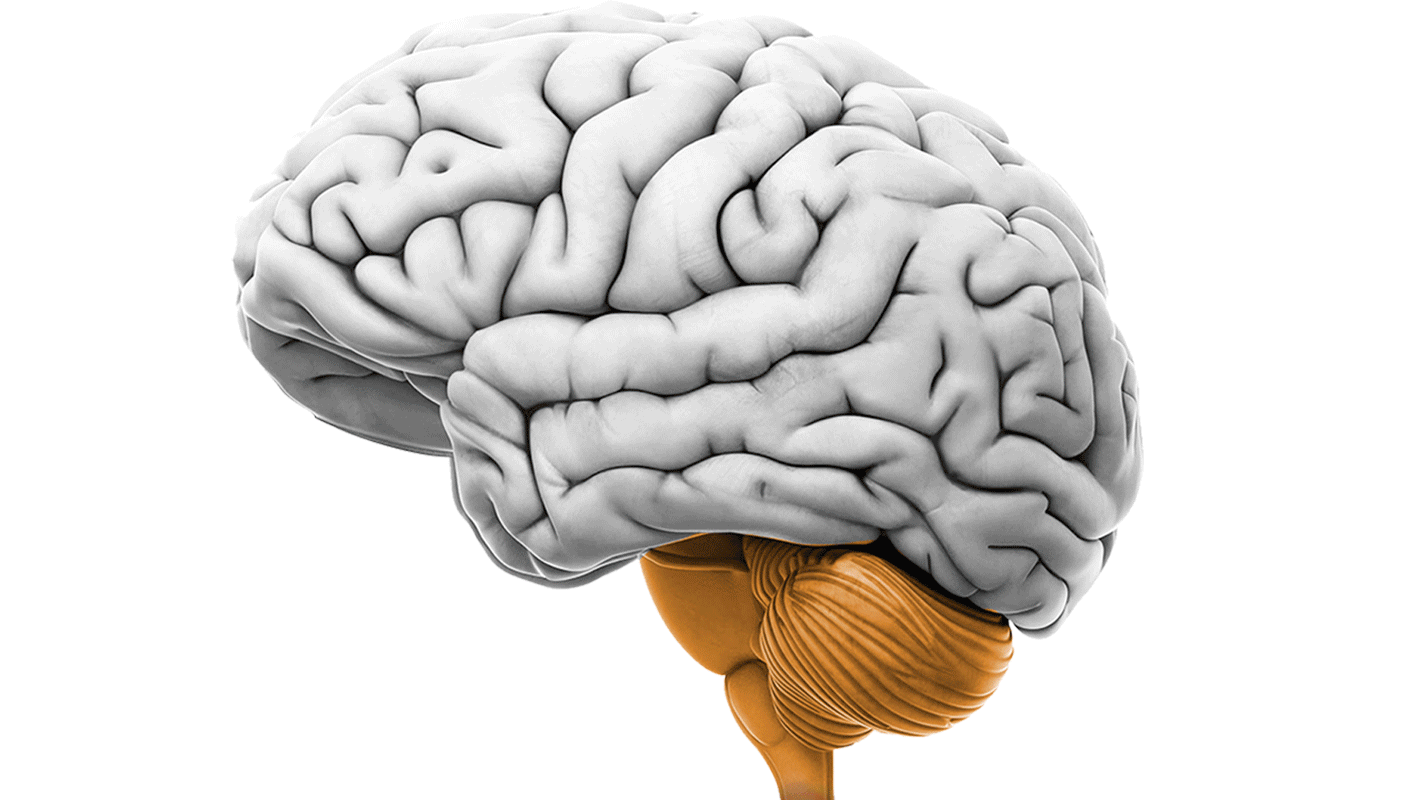 brain_viver_sem_fumo.gif