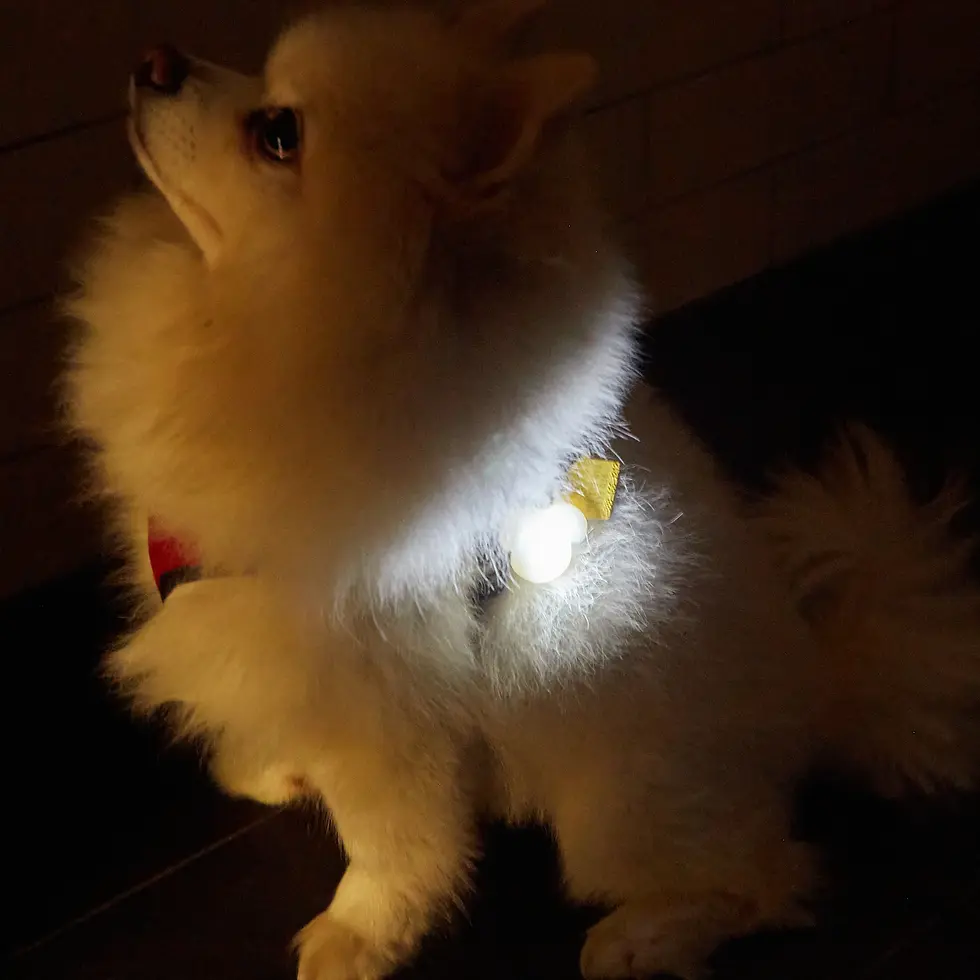 Thumbnail: Kobe Light Up Name Tag