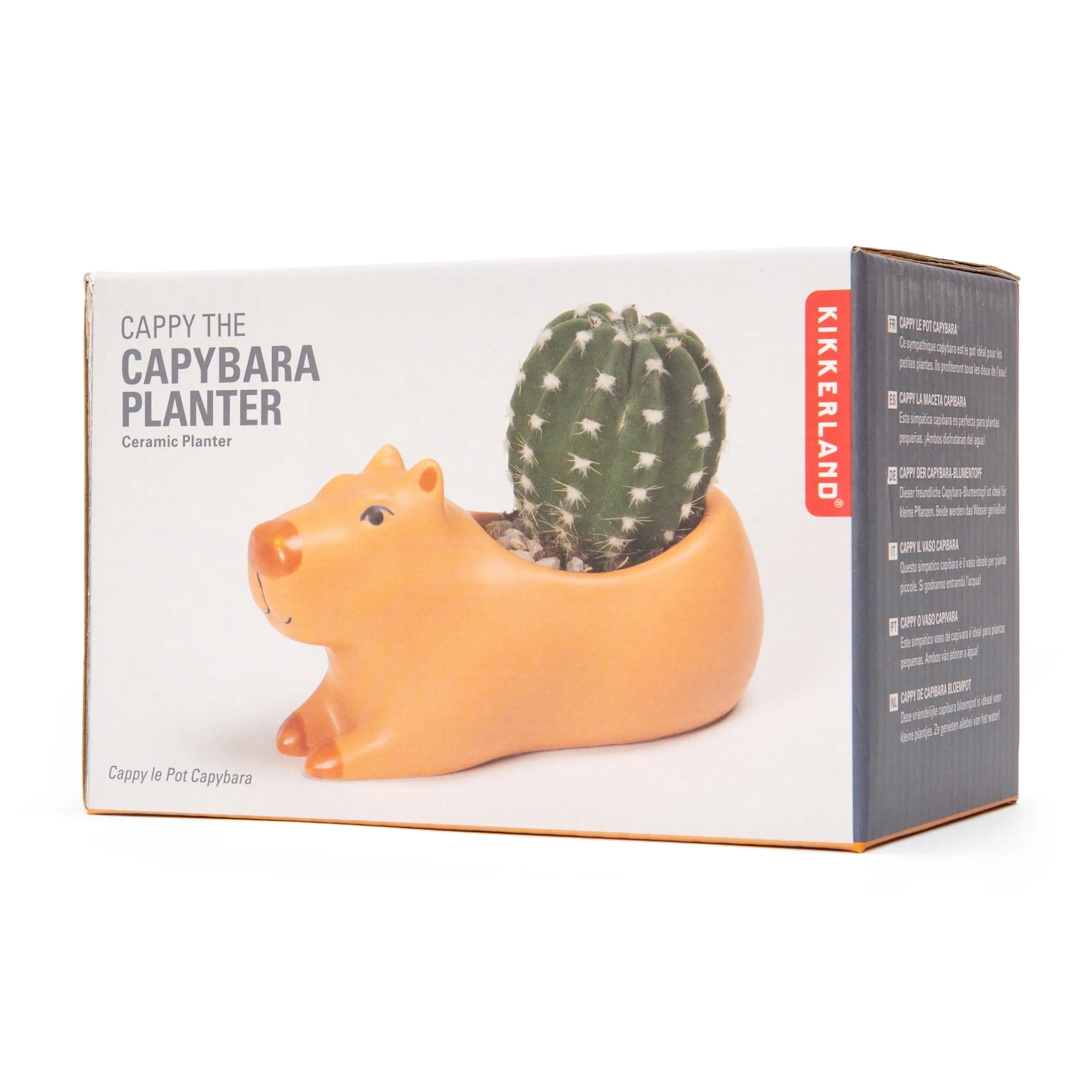 Cappy the Capybara Planter Small