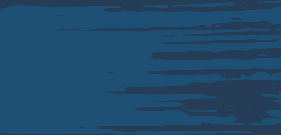 Website Elements_Dark Blue.jpg