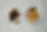 560A1616.webp