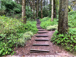 gothic-aries-cpClKVgIC9E-unsplash