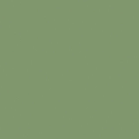 Moss Green 502V2-2158C