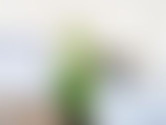 How To Mix High + Low Sources For An Office Design