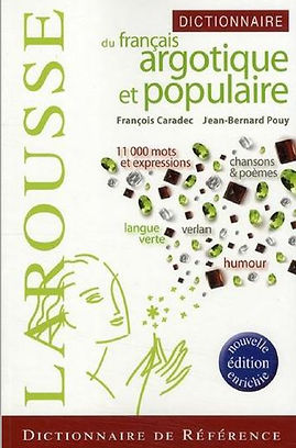 Dictionnaire_du_franÃ§ais_argotique_et_p