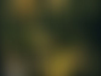 Quando conheci o Ratos de Porão