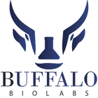 BBL 2019 Logo (FINAL).png