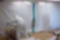 Mold 2.jpg