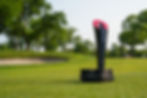 Rocket Classic Trophy Shown at Detroit Golf Club
