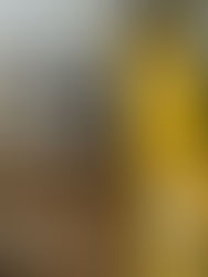 The Deck Beside the Oak