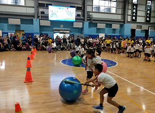 IMG20190511101151.jpg
