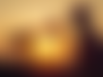 Entendiendo las Fianzas Pemex