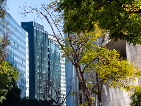 Cómo funciona una afianzadora en México: pasos y requisitos