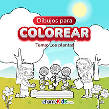 nov sep plantas 2