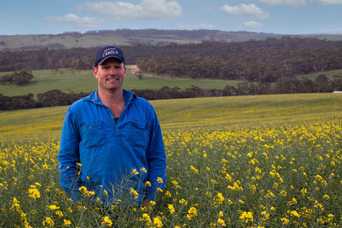 Collandra North Poll Merino Stud (3 of 13).jpg