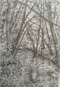 NB3, Dax, bois de Boulogne, 21 x 13,5cm